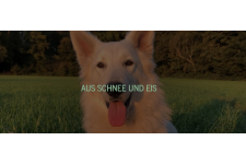 Logo für Aus Schnee und Eis Logo für Aus Schnee und Eis