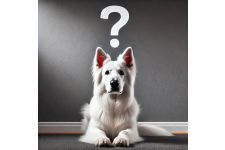 Logo für vom schneeweißen Wolf Logo für vom schneeweißen Wolf