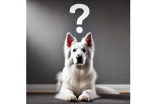 Logo für von Kaya’s Erben Logo für von Kaya’s Erben