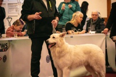 26-IMG_3168