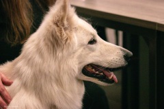 28-IMG_3178