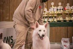 29-IMG_3180