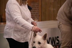 30-IMG_3181