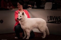 37-IMG_3320