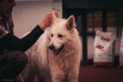 4-IMG_2941
