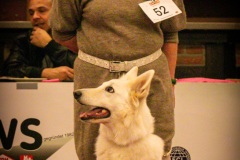 66-IMG_3599